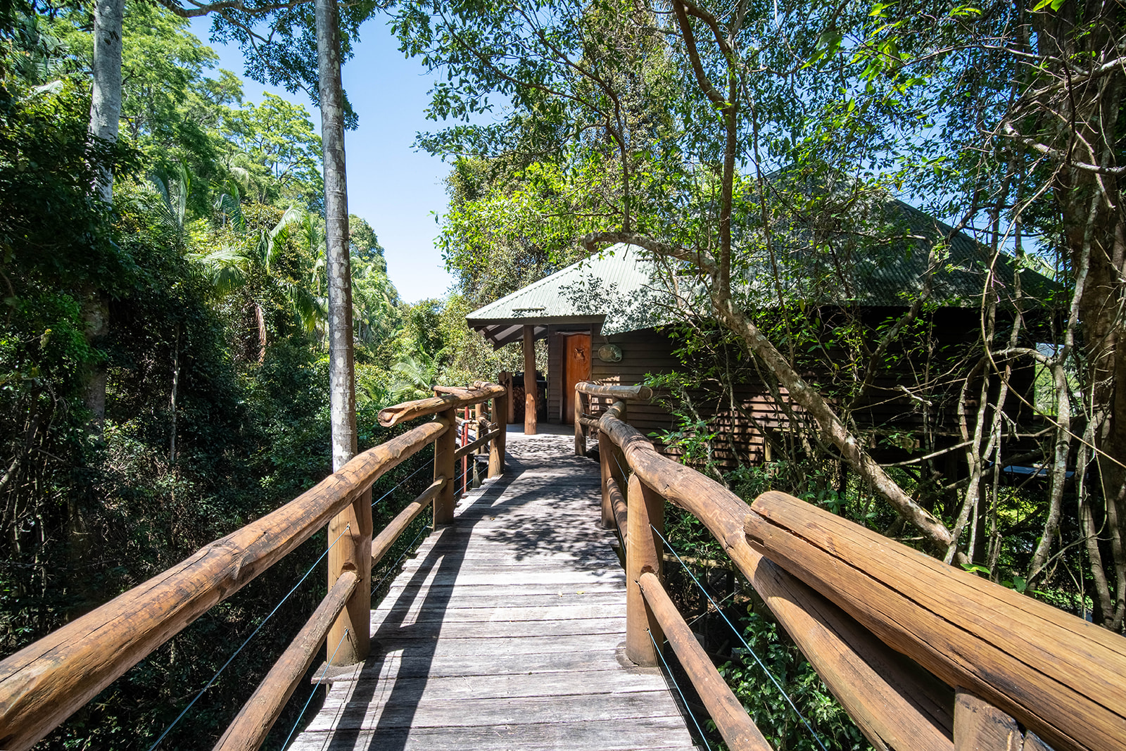 Secrets Treehouse